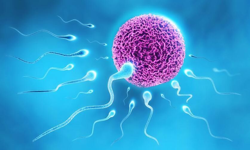 сперматозоїди у складі мастила у чоловіків